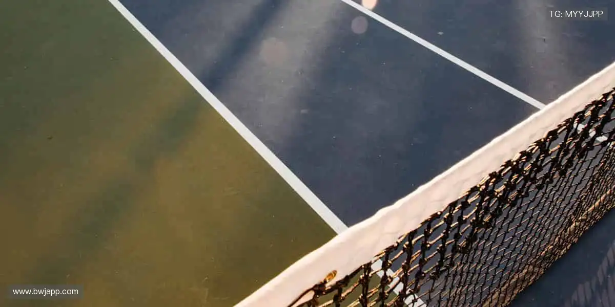 🎮 互动直播，你的主场你做主！